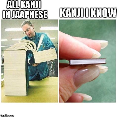 japanese learning meme